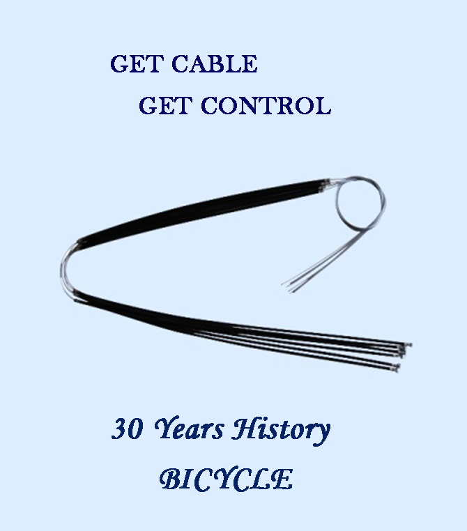 Jiangsu Luhua Times Electric Technology Development Co., LTD